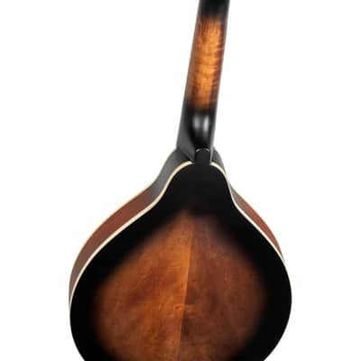 Ortega RMA30-WB-L Left-Handed A-Style Mandolin – Walnut Burst, Solid Spruce Top, Mahogany Back & Sides image 12