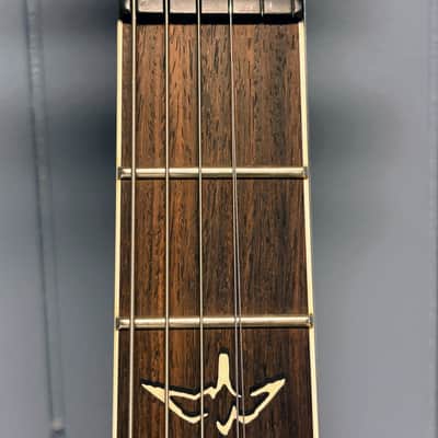 PRS 25th Anniversary Modern Eagle II Tremolo 2010 - Angry Larry image 5