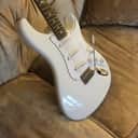 Paul Reed Smith Silver Sky Rosewood Frost -Super Light - Amazing tone