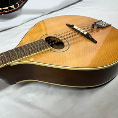 Trinity College TM-325 Mandolin image 20