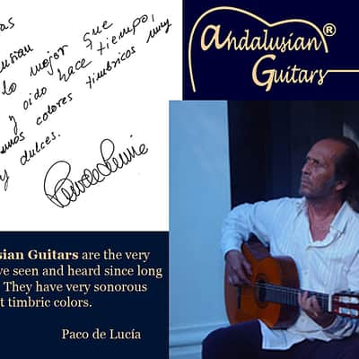Guitare Flamenco / Flamenca image 15