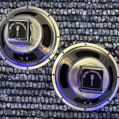 Vintage 1970’s Sunn Transducer 12” Speaker Pair image 1