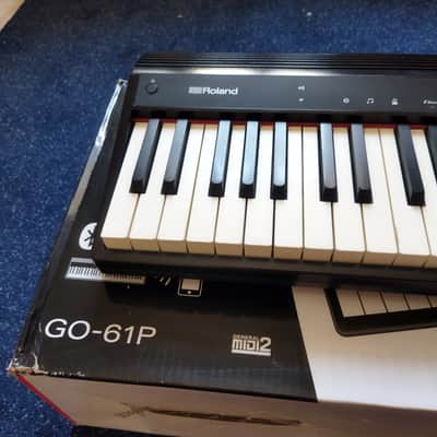 Roland GO-61P GO:PIANO 61-Key Digital Piano 2017 - Present - Black image 2