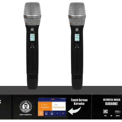 SINGTRONIC DSP-3000 Pro 2024 image 2