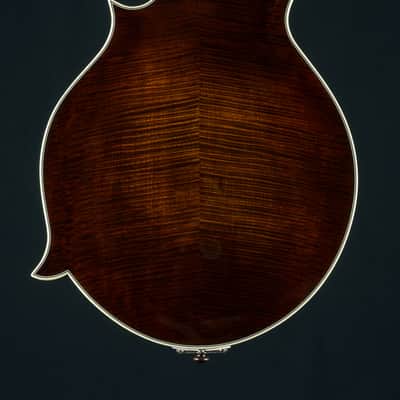 Bourgeois M5-F-BT Full Aged Tone Adirondack Spruce and European Flamed Maple Black Top Mandolin NEW image 5