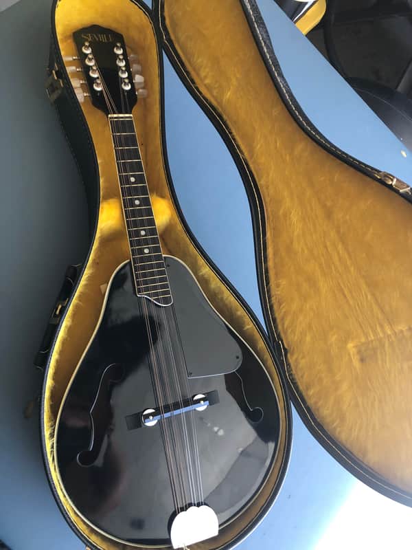 Seville S100B Mandolin Black image 1