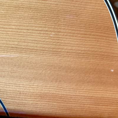 Samick SW 210 CE Acoustic/Electric; Made in Korea, 1993. Looks good and plays well! image 18