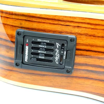 Zager Zad-80ce acoustic electric guitar cutaway w/ Zager Case image 12