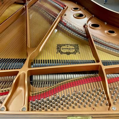 Yamaha PIANOFORTE A MEZZA CODA C3 LIMITED EDITION image 11