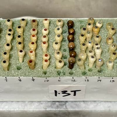 Bob Colosi Bone Bridge Pins, set of 6 image 4