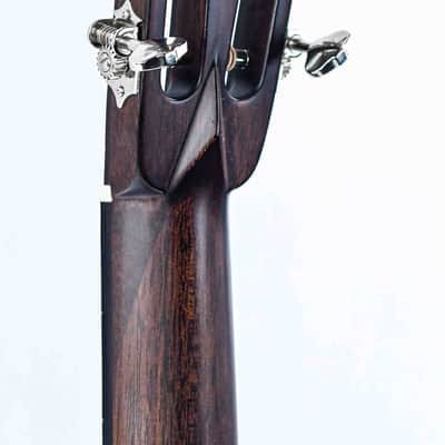 Eastman E20P Thermo Cured 12 Fret image 6