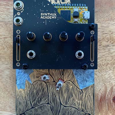 Syntux Touch 2 kit or built with Mutable Instruments Plaits image 1