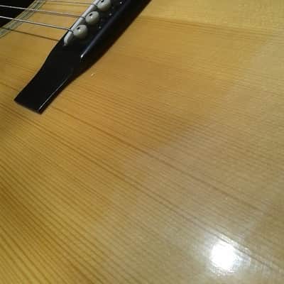 Rare ARIA W-20D Vintage MiJ Japan Acoustic Dreadnought Guitar image 11