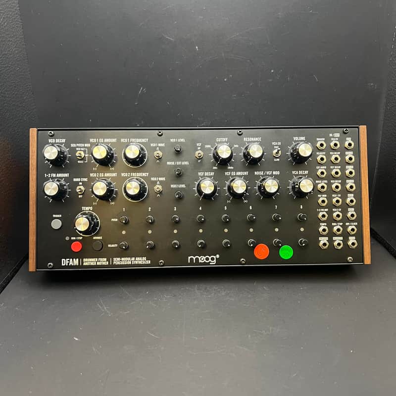 Moog   D Fam image 1