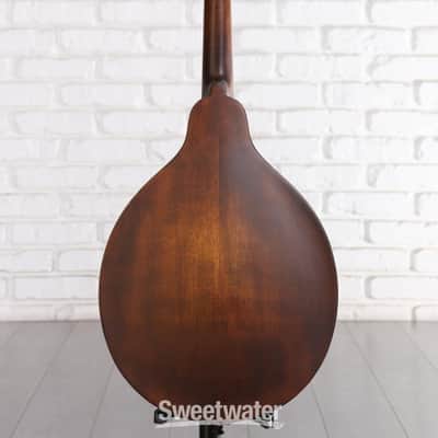 Eastman Guitars MD304 A-style Mandolin - Classic (MD304Csd1) image 4