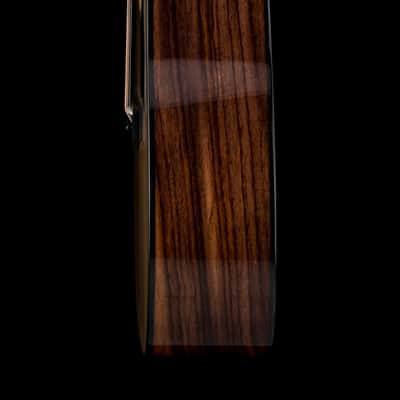 Taylor 210ce Plus #45338 (Demonstration Model) image 7