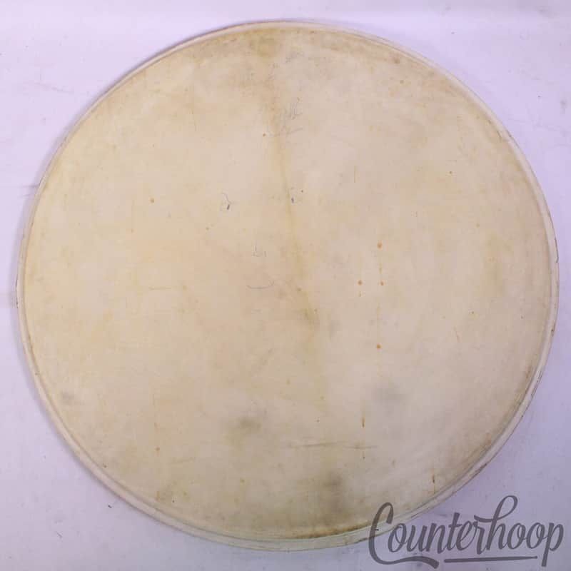 *Leedy 22" Bass Drum Calf Skin Head Batter/Resonant Vintage 40s "The Vegetables" image 1