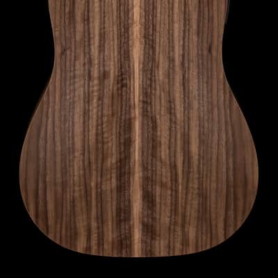 Taylor Big Baby Taylor (BBTe) #26055 (Demonstration Model) image 2