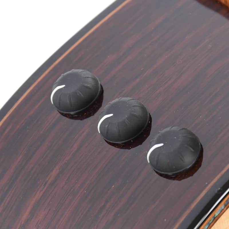 Taylor 912ce 12-Fret with V-Class Bracing image 8