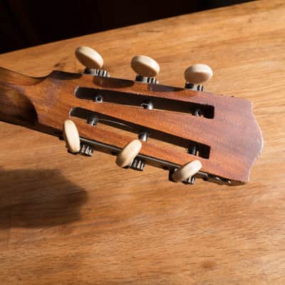 The Windsor Artiste Model 4 Zither Banjo Circa 1910 image 14