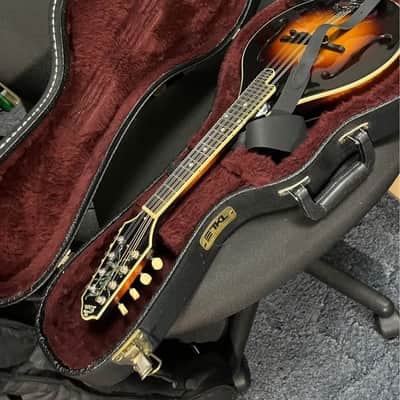 Greg Rich Designed "The Loar" LM-400-VS Early " Fern " Nitrocellulose image 4