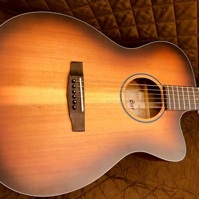 Cort COREOCOPLB Venetian Cutaway Solid Blackwood Top 6-String Acoustic-Electric Guitar w/Deluxe Case image 14