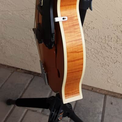 Epiphone MM-50E Professional Mandolin 2010s - Vintage Natural image 12