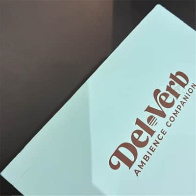 Universal Audio [Box Damaged Special Price] UAFX Del-Verb Ambience Companion (Universal Audio) Delay/Reverb image 3