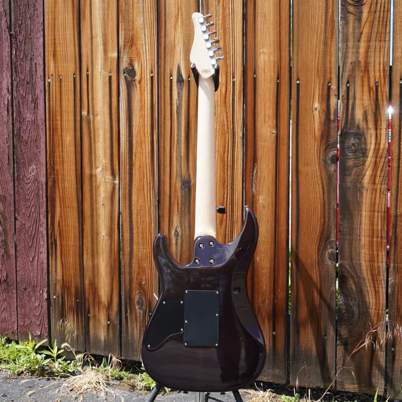 Schecter Japan PROTOTYPE EX-V-24 LTM/FRT M/M BKCH / 3AG - AQUA 6