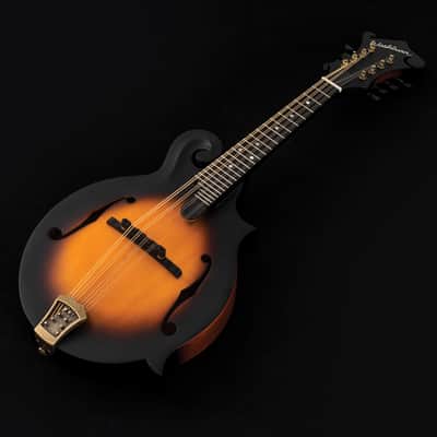 Washburn M108SWK Mandolin w/Case image 5