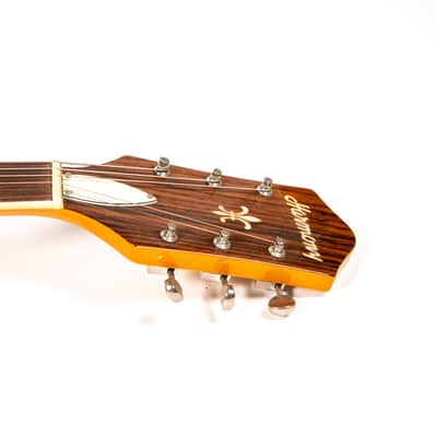 Harmony H62 Re-issue Owned by Mike Campbell image 13