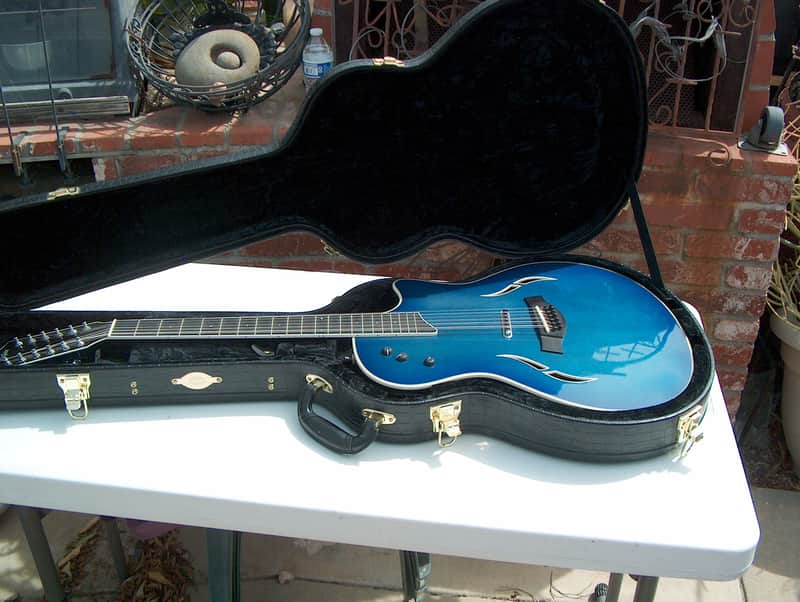 Taylor VINTAGE