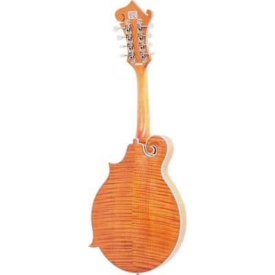 Epiphone MM-50E Professional Mandolin - Natural image 11