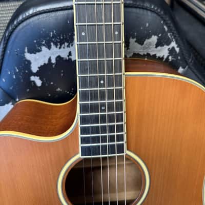 Tanglewood Winter leaf acoustic electric guitar. See details - Natural image 2