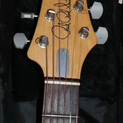 2019 USA PRS Silver Sky - Golden Mesa - No Tariffs image 3