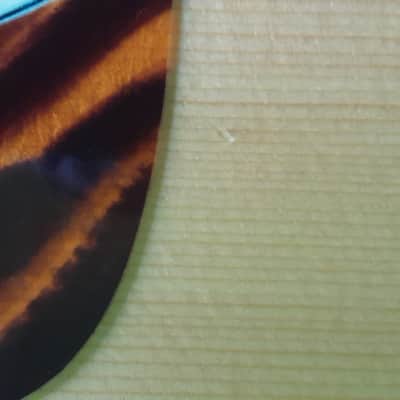 Eastman E100SS-LTD 2019 image 13