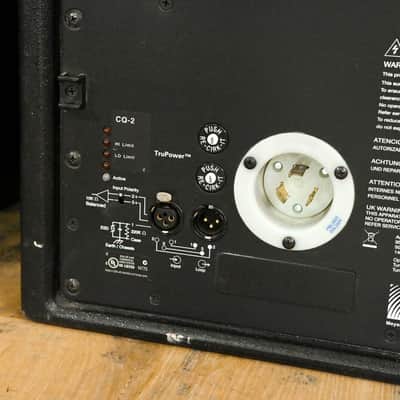 Meyer Sound CQ-2 Narrow Coverage Main Loudspeaker (PAIR) CG014Q9 *ASK FOR SHIPPING* image 11