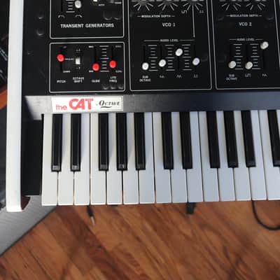 1979 OCTAVE Cat Duo/Mono Synthesizer RESTORED image 3