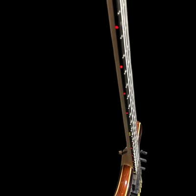Alembic Stanley Clarke Sign Deluxe, Cocobolo / Ebony / Red and Amber LED's USED /Excellent *ONE OWNER NEVER GIGGED* *IN STOCK* image 13