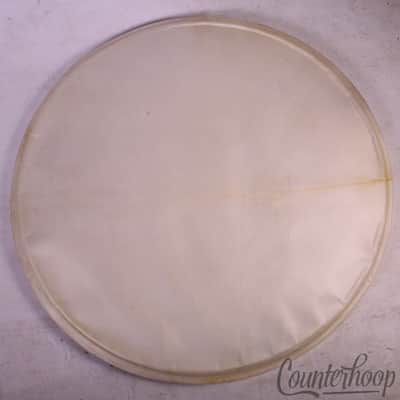 Premier 20"Calf Skin Bass Drum Resonant Head Vintage 50s Elite Pre-International image 1