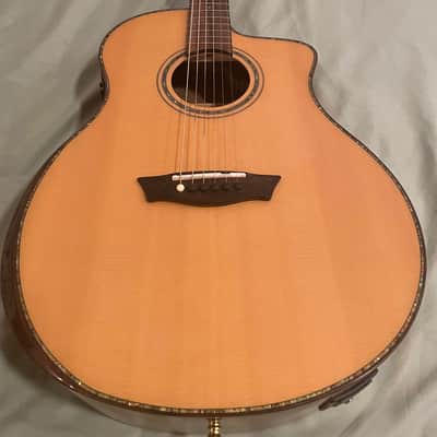 Washburn Acoustic-Electric Guitar image 4