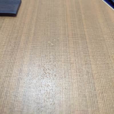 Seagull S12+ Cedar 12 string 1997 image 3