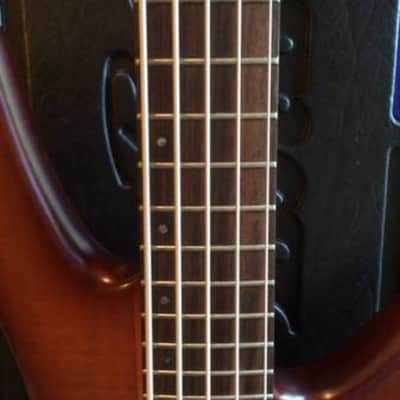 Ibanez SR 1005 EFM Prestige 2007 Dark Amber Burst image 5