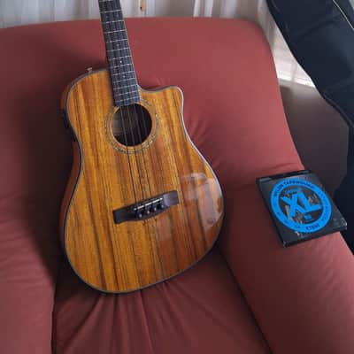 Fender Victor Bailey Acoustic Bass 2008 - Natural imagen 1