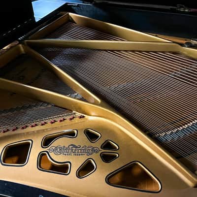Chickering 5'3" Ebony Grand Piano – Superior Sound and Craftsmanship image 5