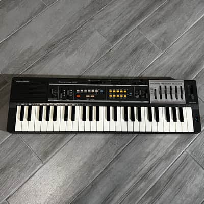 Realistic Concertmate-600 (Casio MT-100 Clone)