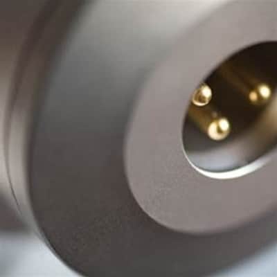 Brauner Phantom Classic FET Microphone image 3