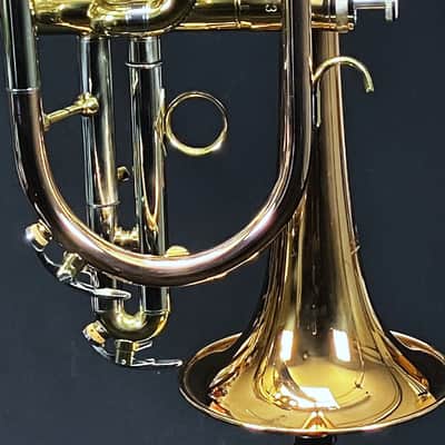 SCHILLER Shepards Crook Pro Elite Cornet in Brushed Rose 2019 image 16