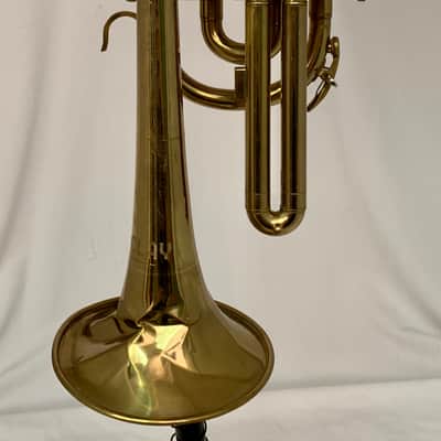 Barclay Cornet image 5