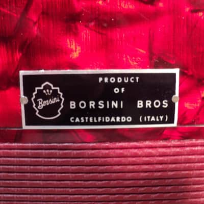 Vintage Borsini Bros. Gaviani Special Italian Accordion w/ Case image 7